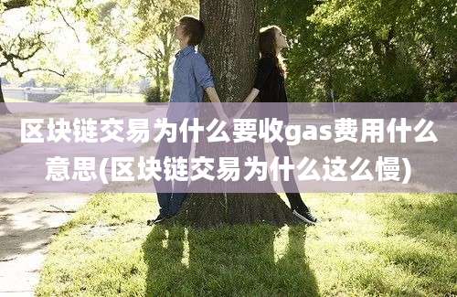 区块链交易为什么要收gas费用什么意思(区块链交易为什么这么慢)