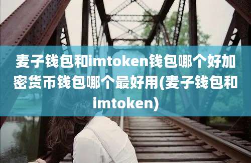 麦子钱包和imtoken钱包哪个好加密货币钱包哪个最好用(麦子钱包和imtoken)