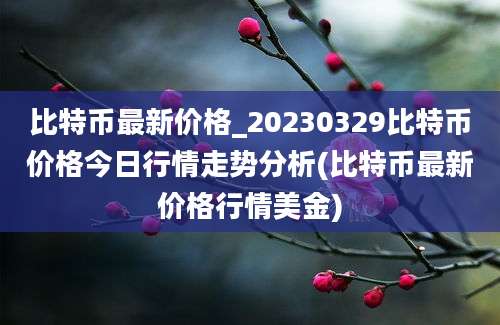 比特币最新价格_20230329比特币价格今日行情走势分析(比特币最新价格行情美金)