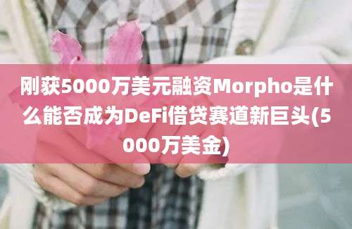 刚获5000万美元融资Morpho是什么能否成为DeFi借贷赛道新巨头(5000万美金)