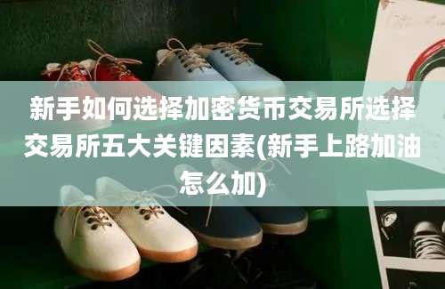 新手如何选择加密货币交易所选择交易所五大关键因素(新手上路加油怎么加)