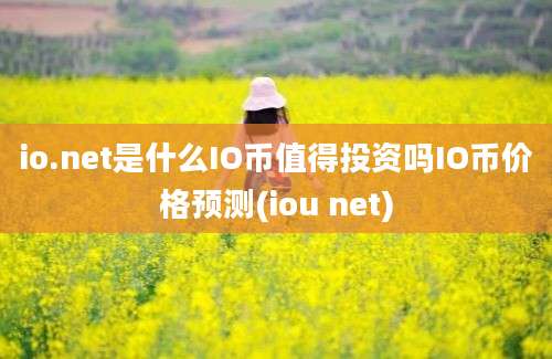 io.net是什么IO币值得投资吗IO币价格预测(iou net)