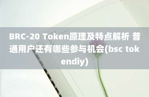 BRC-20 Token原理及特点解析 普通用户还有哪些参与机会(bsc tokendiy)