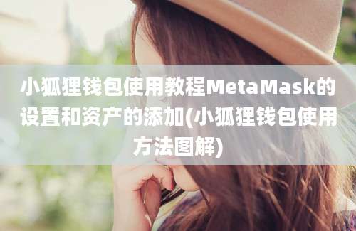 小狐狸钱包使用教程MetaMask的设置和资产的添加(小狐狸钱包使用方法图解)