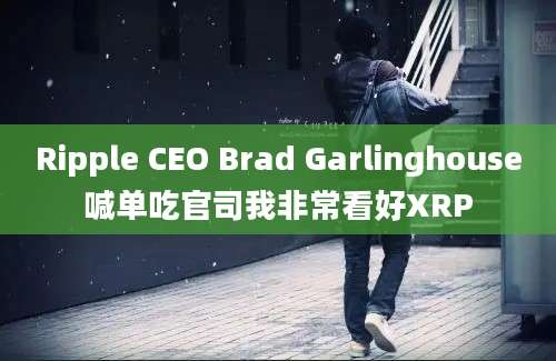 Ripple CEO Brad Garlinghouse喊单吃官司我非常看好XRP