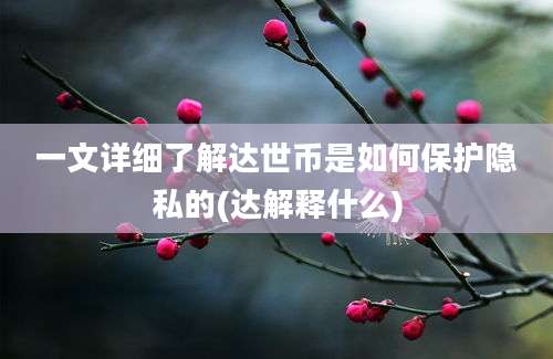 一文详细了解达世币是如何保护隐私的(达解释什么)