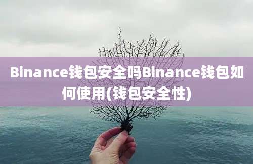 Binance钱包安全吗Binance钱包如何使用(钱包安全性)