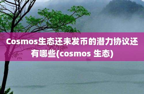 Cosmos生态还未发币的潜力协议还有哪些(cosmos 生态)