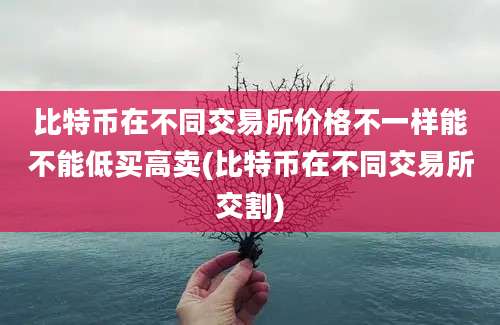 比特币在不同交易所价格不一样能不能低买高卖(比特币在不同交易所交割)