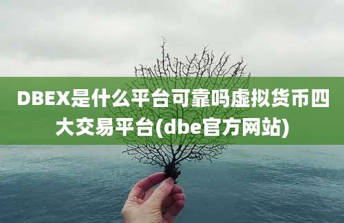 DBEX是什么平台可靠吗虚拟货币四大交易平台(dbe官方网站)