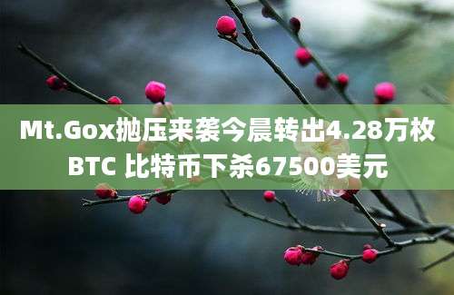 Mt.Gox抛压来袭今晨转出4.28万枚BTC 比特币下杀67500美元