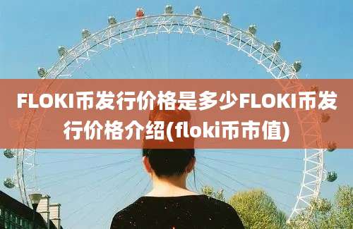 FLOKI币发行价格是多少FLOKI币发行价格介绍(floki币市值)