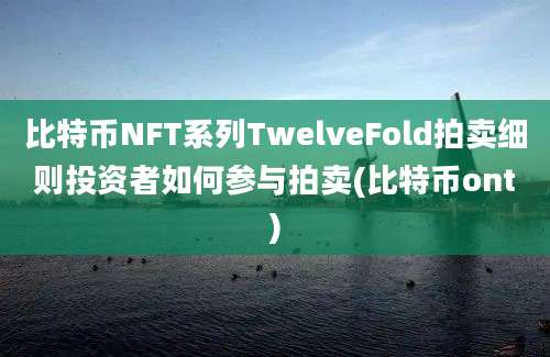 比特币NFT系列TwelveFold拍卖细则投资者如何参与拍卖(比特币ont)