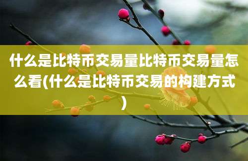 什么是比特币交易量比特币交易量怎么看(什么是比特币交易的构建方式)