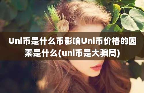 Uni币是什么币影响Uni币价格的因素是什么(uni币是大骗局)