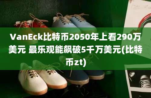 VanEck比特币2050年上看290万美元 最乐观能飙破5千万美元(比特币zt)