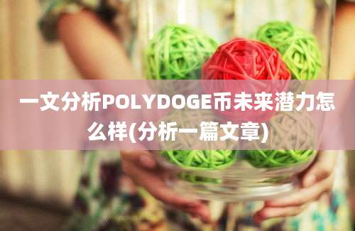 一文分析POLYDOGE币未来潜力怎么样(分析一篇文章)