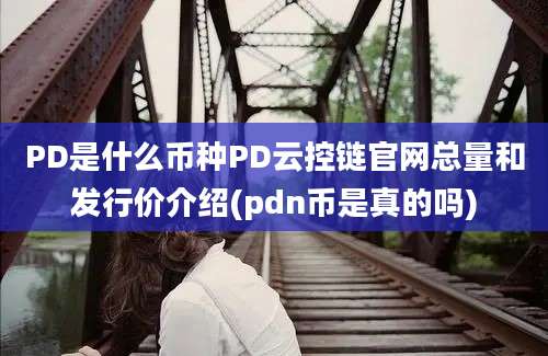 PD是什么币种PD云控链官网总量和发行价介绍(pdn币是真的吗)