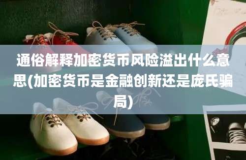 通俗解释加密货币风险溢出什么意思(加密货币是金融创新还是庞氏骗局)