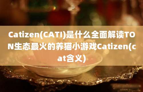 Catizen(CATI)是什么全面解读TON生态最火的养猫小游戏Catizen(cat含义)