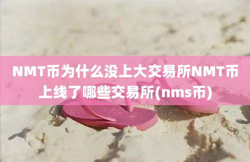 NMT币为什么没上大交易所NMT币上线了哪些交易所(nms币)