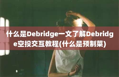 什么是Debridge一文了解Debridge空投交互教程(什么是预制菜)