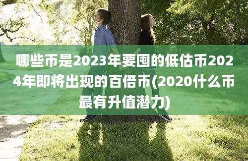 哪些币是2023年要囤的低估币2024年即将出现的百倍币(2020什么币最有升值潜力)