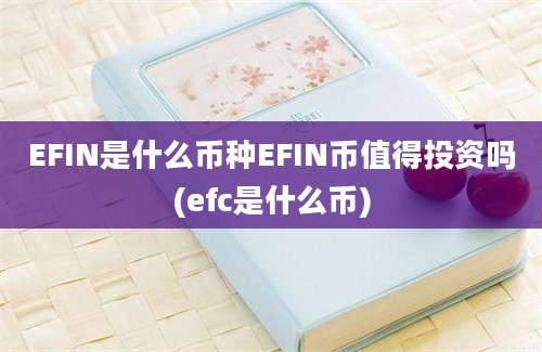 EFIN是什么币种EFIN币值得投资吗(efc是什么币)