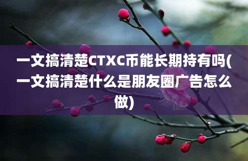 一文搞清楚CTXC币能长期持有吗(一文搞清楚什么是朋友圈广告怎么做)