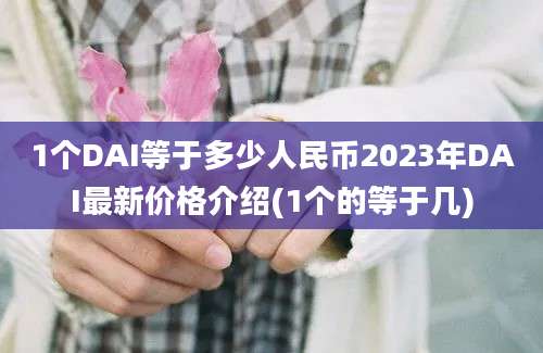 1个DAI等于多少人民币2023年DAI最新价格介绍(1个的等于几)