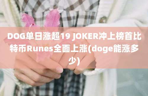 DOG单日涨超19 JOKER冲上榜首比特币Runes全面上涨(doge能涨多少)