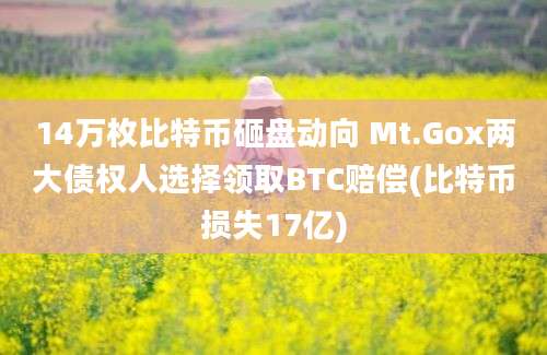 14万枚比特币砸盘动向 Mt.Gox两大债权人选择领取BTC赔偿(比特币损失17亿)