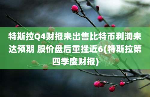 特斯拉Q4财报未出售比特币利润未达预期 股价盘后重挫近6(特斯拉第四季度财报)