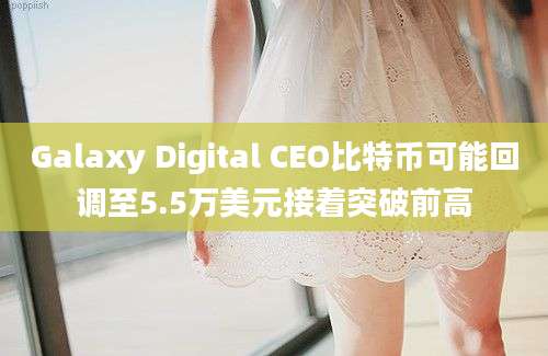 Galaxy Digital CEO比特币可能回调至5.5万美元接着突破前高