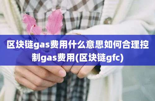 区块链gas费用什么意思如何合理控制gas费用(区块链gfc)