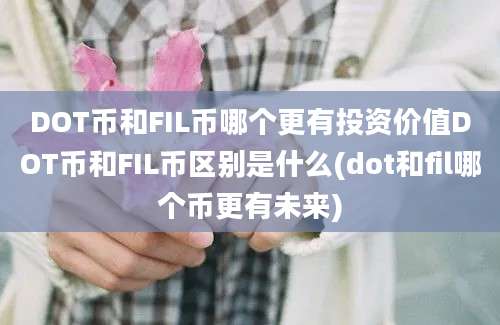 DOT币和FIL币哪个更有投资价值DOT币和FIL币区别是什么(dot和fil哪个币更有未来)