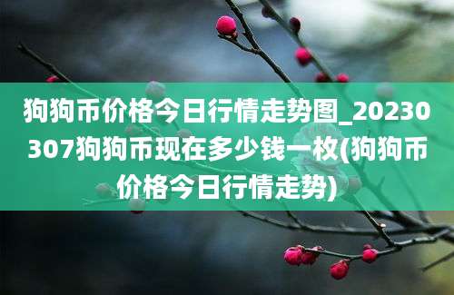 狗狗币价格今日行情走势图_20230307狗狗币现在多少钱一枚(狗狗币价格今日行情走势)