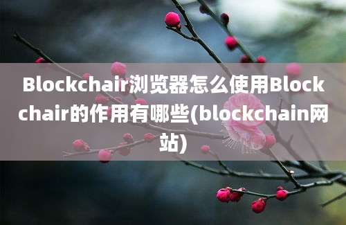 Blockchair浏览器怎么使用Blockchair的作用有哪些(blockchain网站)