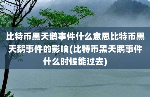 比特币黑天鹅事件什么意思比特币黑天鹅事件的影响(比特币黑天鹅事件什么时候能过去)