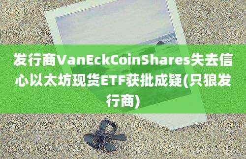 发行商VanEckCoinShares失去信心以太坊现货ETF获批成疑(只狼发行商)