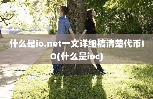 什么是io.net一文详细搞清楚代币IO(什么是ioc)