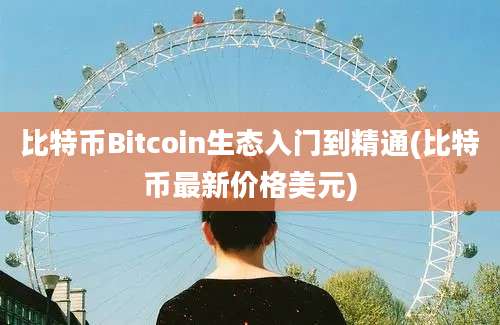 比特币Bitcoin生态入门到精通(比特币最新价格美元)