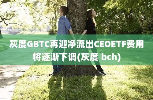 灰度GBTC再迎净流出CEOETF费用将逐渐下调(灰度 bch)