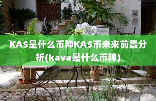 KAS是什么币种KAS币未来前景分析(kava是什么币种)