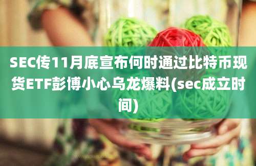 SEC传11月底宣布何时通过比特币现货ETF彭博小心乌龙爆料(sec成立时间)