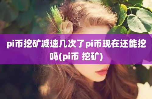 pi币挖矿减速几次了pi币现在还能挖吗(pi币 挖矿)