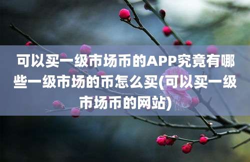 可以买一级市场币的APP究竟有哪些一级市场的币怎么买(可以买一级市场币的网站)