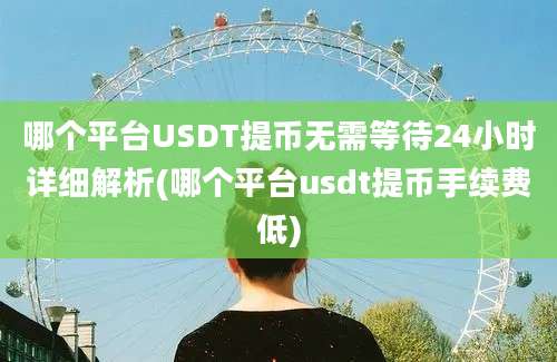 哪个平台USDT提币无需等待24小时详细解析(哪个平台usdt提币手续费低)