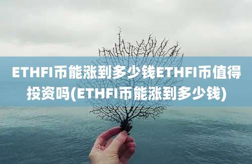 ETHFI币能涨到多少钱ETHFI币值得投资吗(ETHFI币能涨到多少钱)