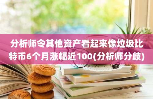 分析师令其他资产看起来像垃圾比特币6个月涨幅近100(分析师分歧)